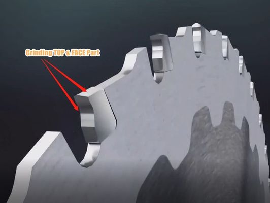 Aiguiseuse automatique à scie circulaire de haute précision